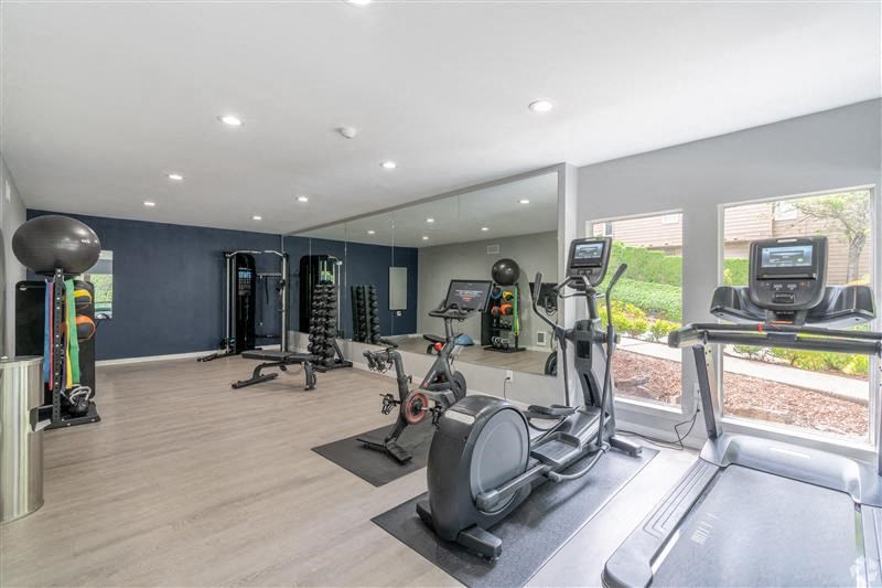 A spacious gym with a variety of equipment including treadmills, elliptical machines, and weight machines.